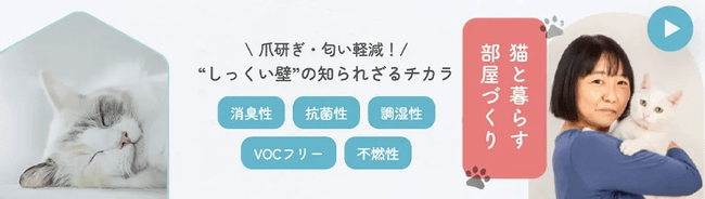 猫と暮らす部屋づくり